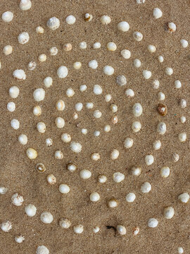 Set of shells