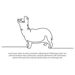 Hippo line design. Simple animal silhouette decorative elements drawn with one continuous line. Vector illustration of minimalist style on white background.