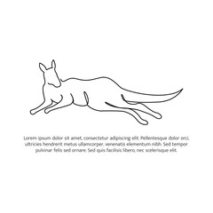 Kangaroo line design. Simple animal silhouette decorative elements drawn with one continuous line. Vector illustration of minimalist style on white background.