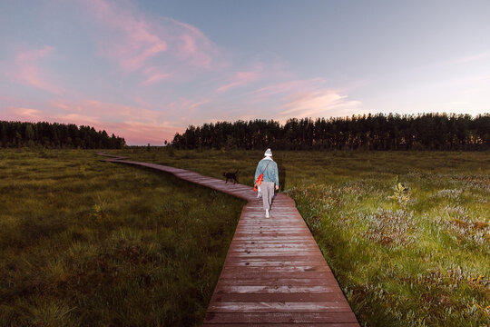Walking the dog during sunset in nature place. 