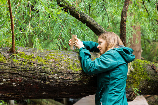 woman taking pictures with her cell phone on a tree trunk in a forest