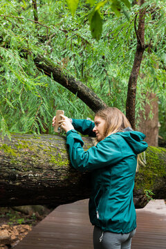 woman taking pictures with her cell phone on a tree trunk