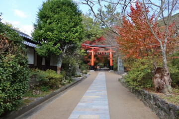  A Japanese shrine : a scene of the entrance torii to the access to Ujikami-jinjya in Uji City in Kyoto Prefecture 日本のお寺：京都府宇治市にある宇治上神社の参道入り口の鳥居　