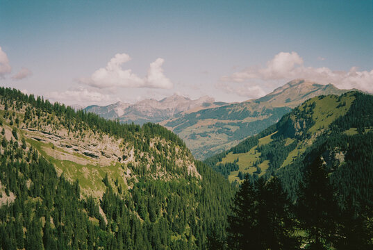 Alpine Panorama on Sunny Summer Day