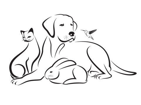 Group of pets design isolated on transparent background. Animals. Dog, Cat, Humming bird, Rabbit,