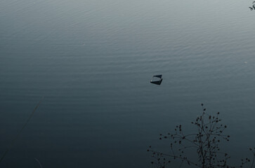 水に浮かぶゴミ