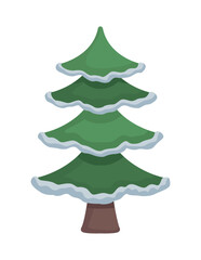 pine tree with snow