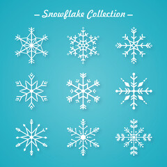 Set of snowflakes with different forms