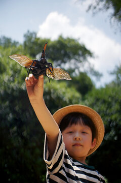Cute little Asian boy playing with insect toy
