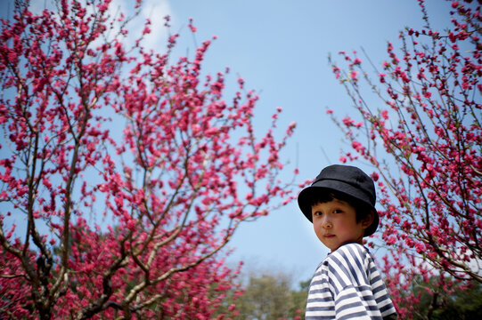Cute little Asian boy playing under the peach tree