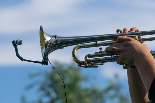 Trumpet