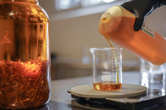 Anonymous Scientist Measuring Liquid in Beaker