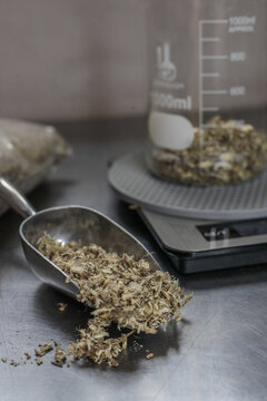 Measuring  Scoop with Marshmallow Root