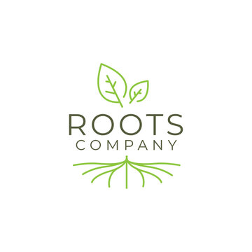 Abstract Living roots on white background vector logo design template.