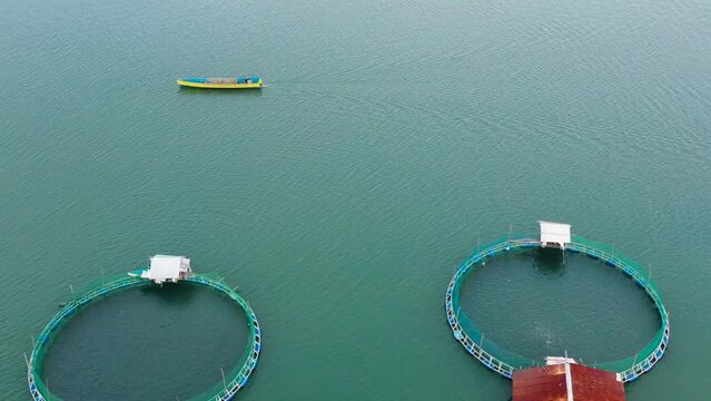 Fish farm with cages for fish and shrimp, top view. Fish cage for tilapia, milkfish farming aquaculture and pisciculture practices. Philippines, Luzon. Aerial view of fish ponds for bangus, milkfish.
