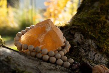 A close up image of a double terminated smoky quartz crystal on a piece of thick green moss.