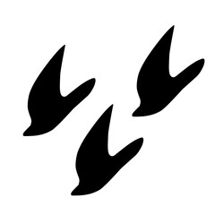 bird silhouette flying at sunset