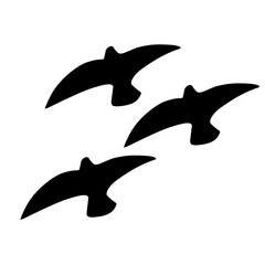 bird silhouette flying at sunset