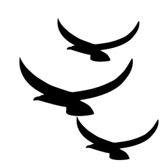 bird silhouette flying at sunset