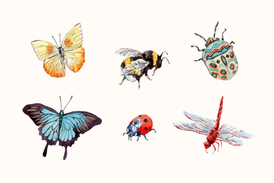 Watercolor different insects collection