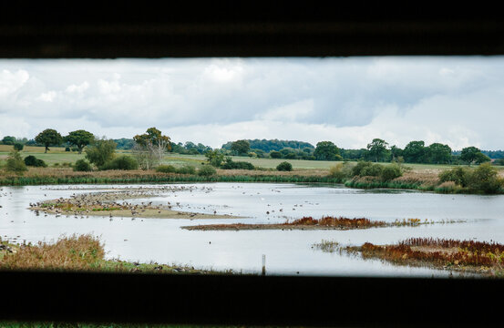UK wetland habitat viewed through the window of a hide.