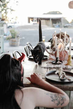 black kitten walks along fall decorated table towards woman