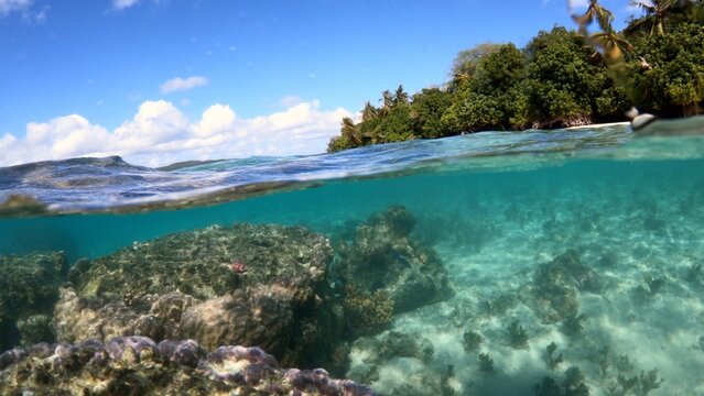 Pacific Ocean coral reef - impacts of sea level and climate change