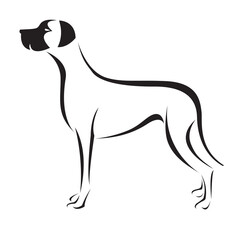 Dog (great dane) design isolated on transparent background. Pet. Animals.