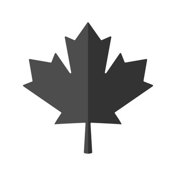 canada leaf simple icon with black color