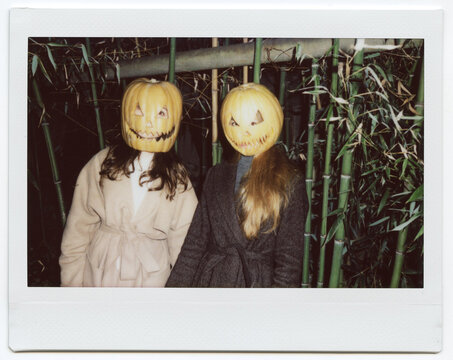 a pumpkin heads 