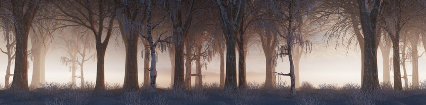 Seasonal Background with Snow covered Trees in a Pale Mist. Beautiful Winter Woodland Banner.