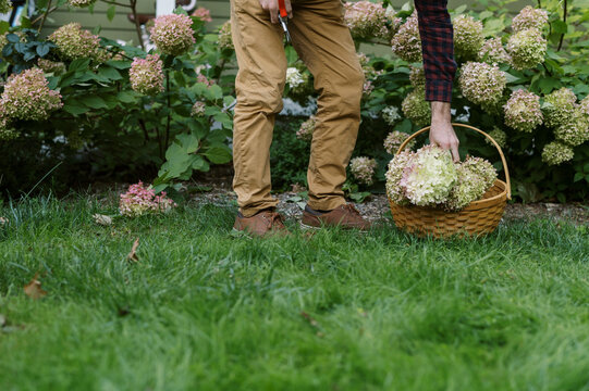 Close Up Of Mans Lower Body As He Works In The Garden In Fall