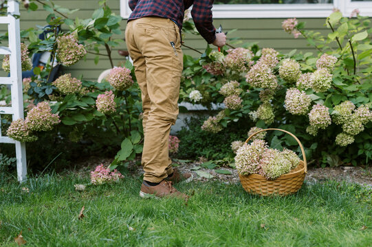 Close Up Of Mans Lower Body As He Works In The Garden In Fall