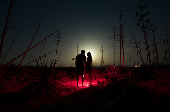 Dreamy couple silhouette on surreal night scenery