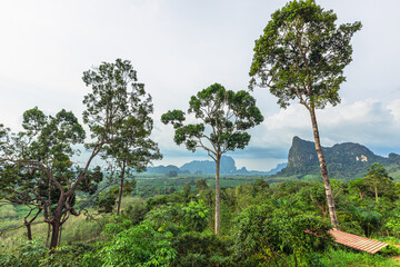 The blurred background of the twilight light in the evening under the trees, surrounded by mountains and cool breeze, seen during the tourist spots.