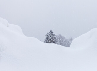 Winter forest, sunrise in the mountains, panorama from the site located on the ridge of the tourist route..
