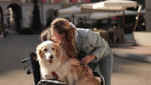 Girl sitting on wheelchair with dog therapist and laughing with friends outdoors. two happy diverse multiethnic people spending time outdoors. Canister Therapy, diversity