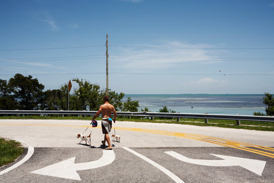 DOG WALKER