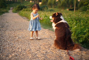 Asian little girl in the grassland outdoors