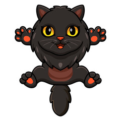 Cute black persian cat cartoon posing