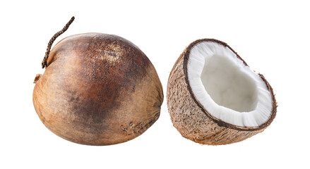 Dry coconut isolated on transparent png