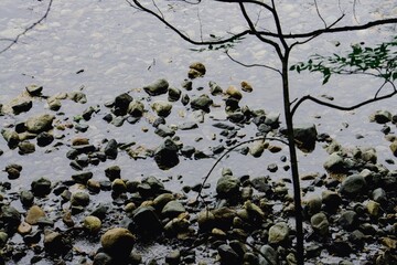 river with stone