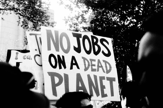No Jobs