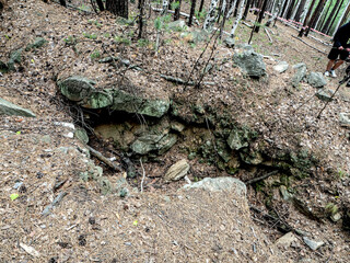 sinkholes in the ground in a mountainous forest area