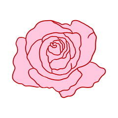 Pink Rose Decoration