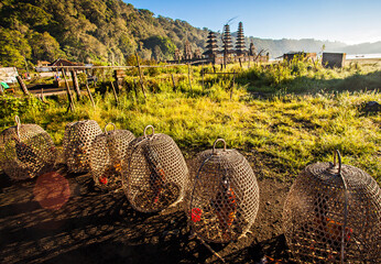 Roosters in cages are drying under the morning sun near Tamblingan Temple, Bali, Indonesia. Raising roosters is the culture of the Balinese people © Sony Herdiana