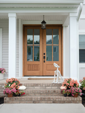 Dog skeleton for Halloween on front porch