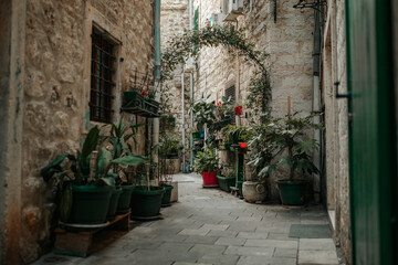 Flowers In Mediterranean City.