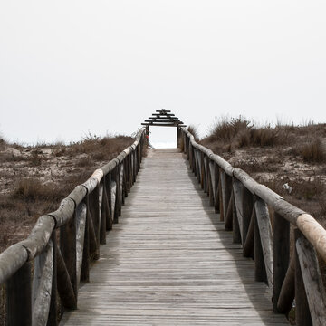 A wooden walkway