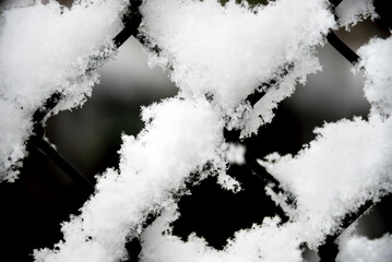 Snow accumulated on the Fence
